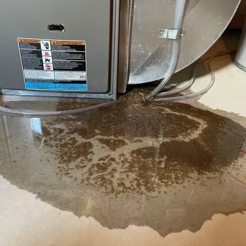 Appliance Leak Cleanup in Elkfork, KY